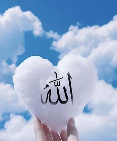 Ayesha Siddiq