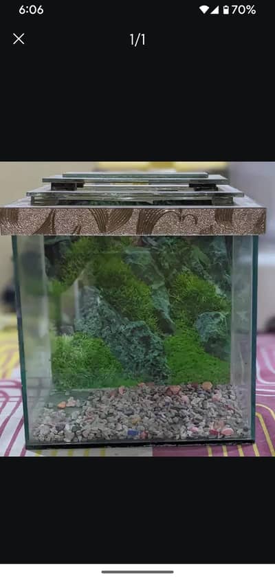 brand new aquarium