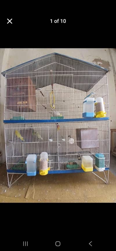 only cage for sale