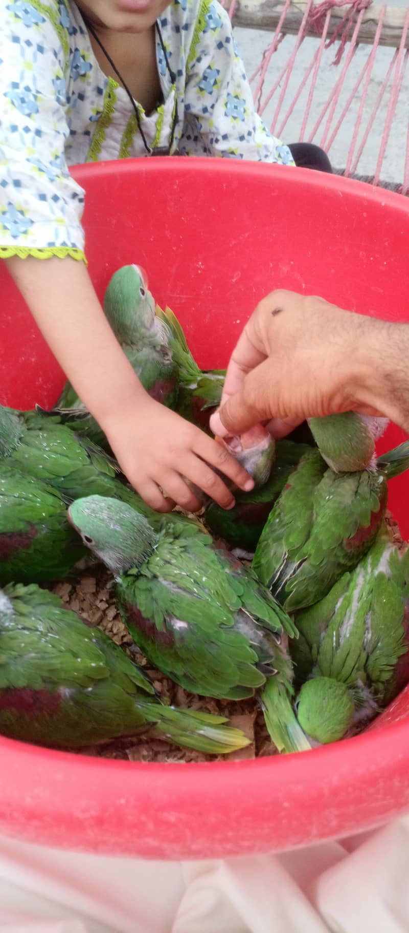 ماشاءاللہ بہت اچھی کوالٹی 1