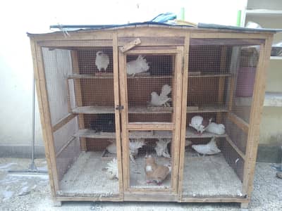pigeons cage for sale.