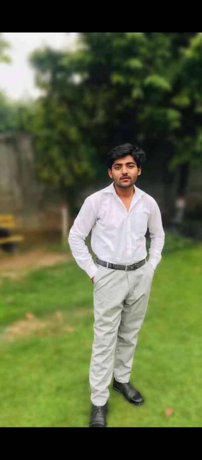 Ali shahensha