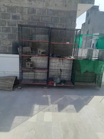 Birds Cages