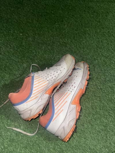 Cricket spikes - Original Puma brand