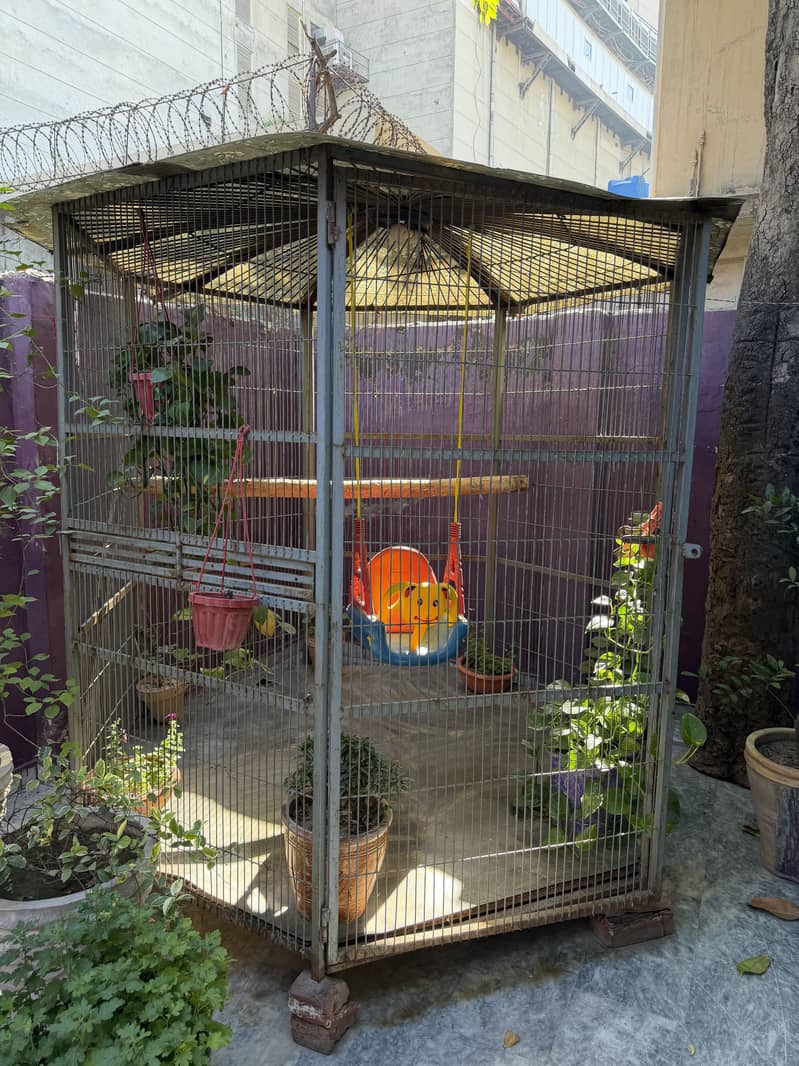 Big Cage 0