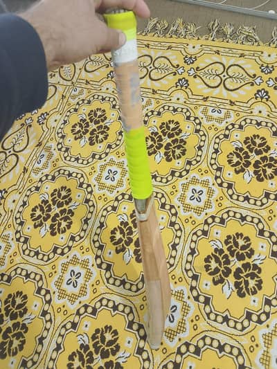 hard ball  cricket bat