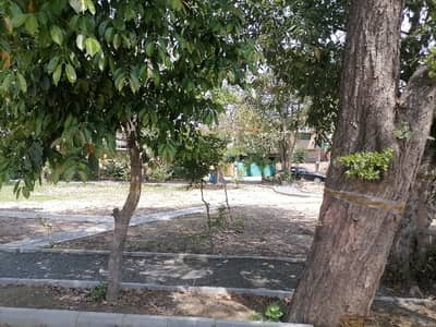 Stunning And Affordable House Available For Sale In Askari 5