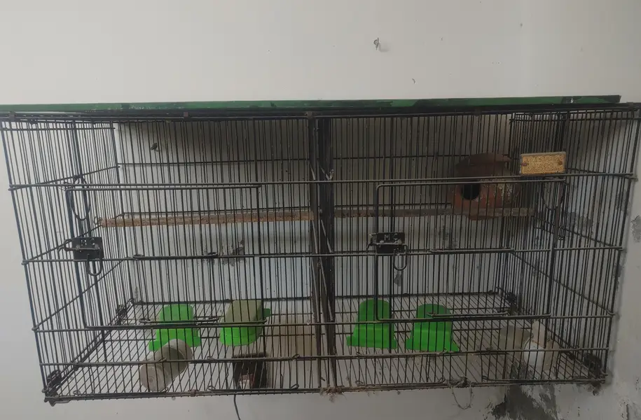 Double Partition Bird Cage – Heavy Black Metal (Good Condition)