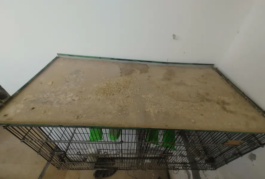 Double Partition Bird Cage – Heavy Black Metal (Good Condition) — photo 2