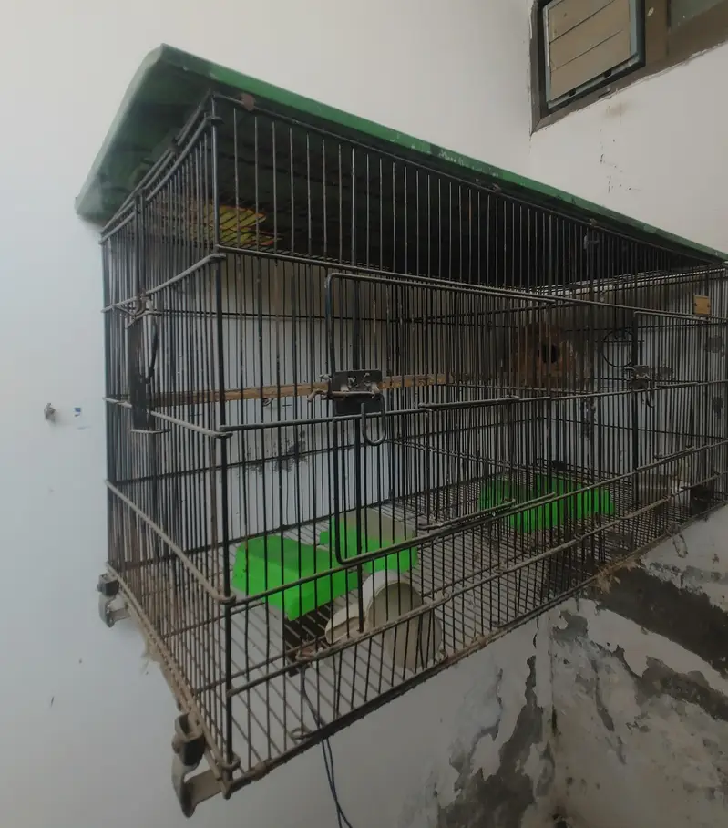 Double Partition Bird Cage – Heavy Black Metal (Good Condition) — photo 4