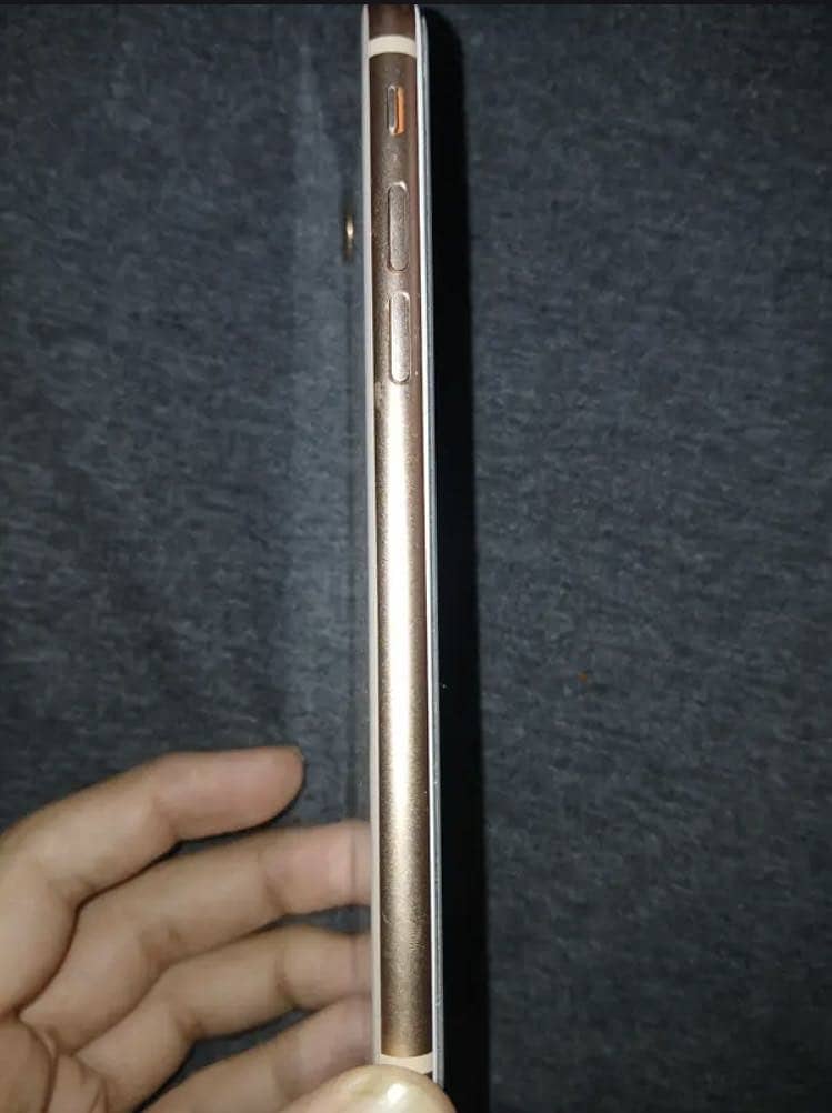 iPhone 5