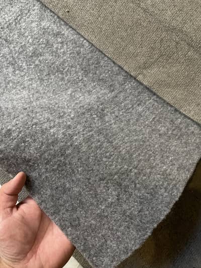 Bedroom carpet 8.7x15