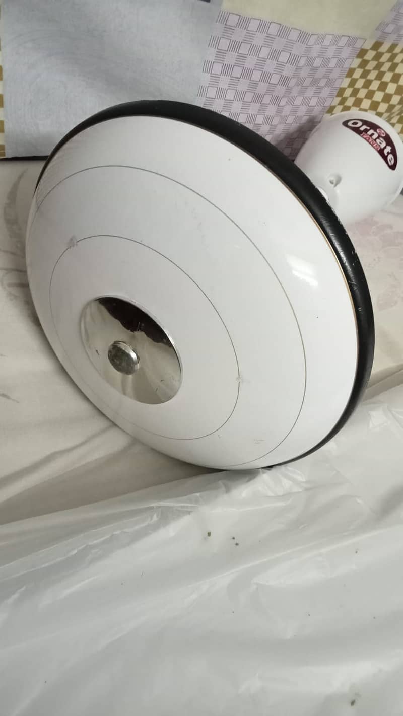 Ceiling Fan 2