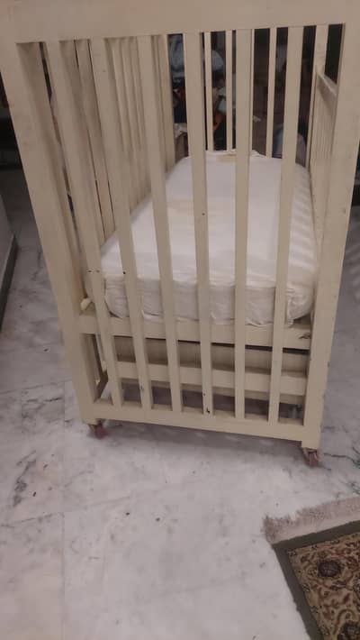 baby coat