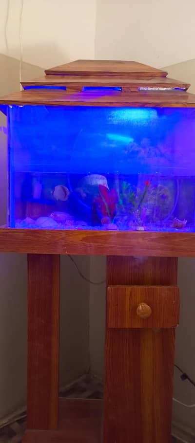 aquarium