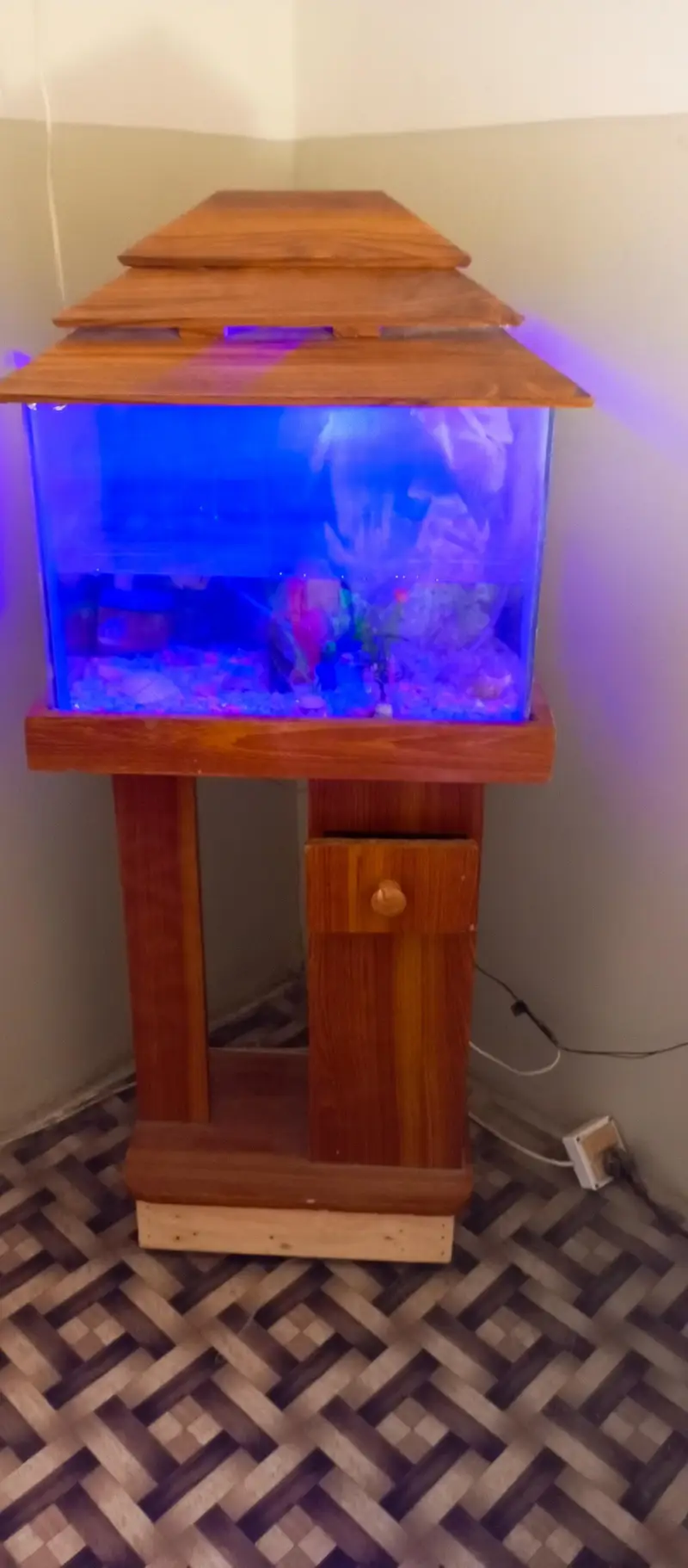 aquarium — photo 2