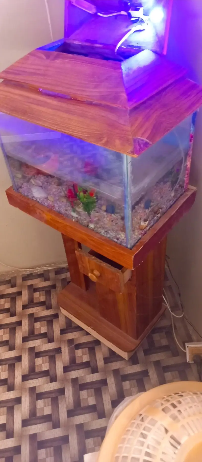 aquarium — photo 4