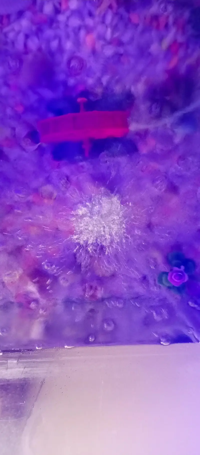 aquarium — photo 5