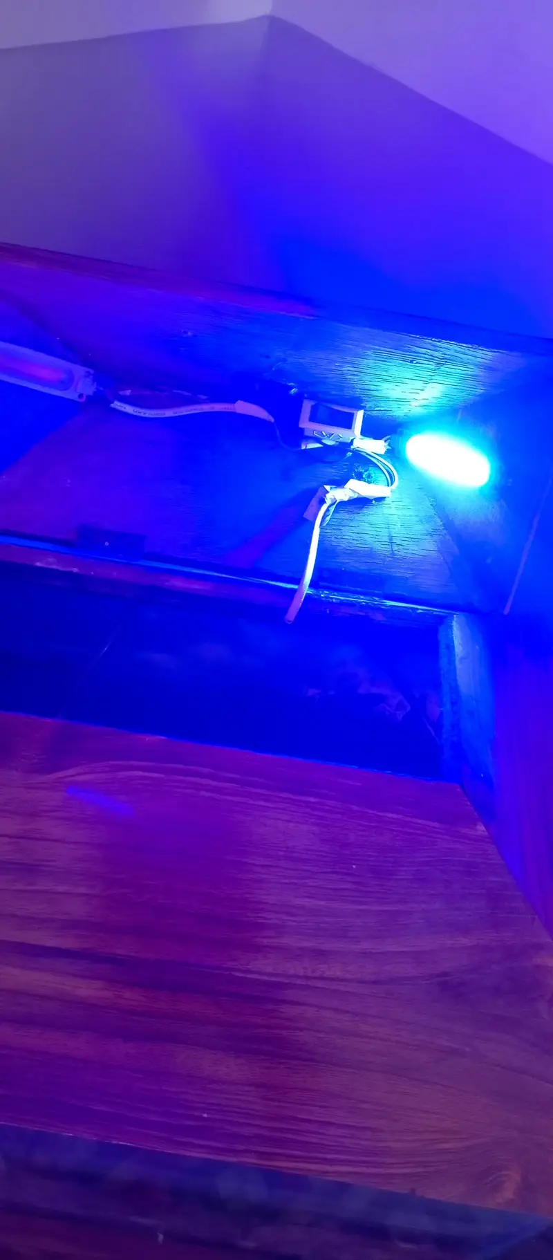 aquarium — photo 6
