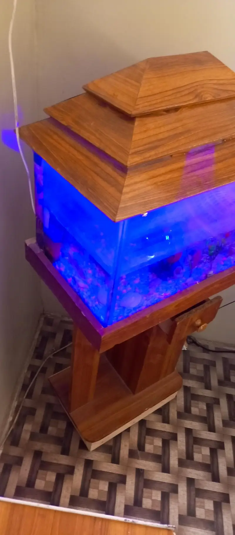 aquarium — photo 7