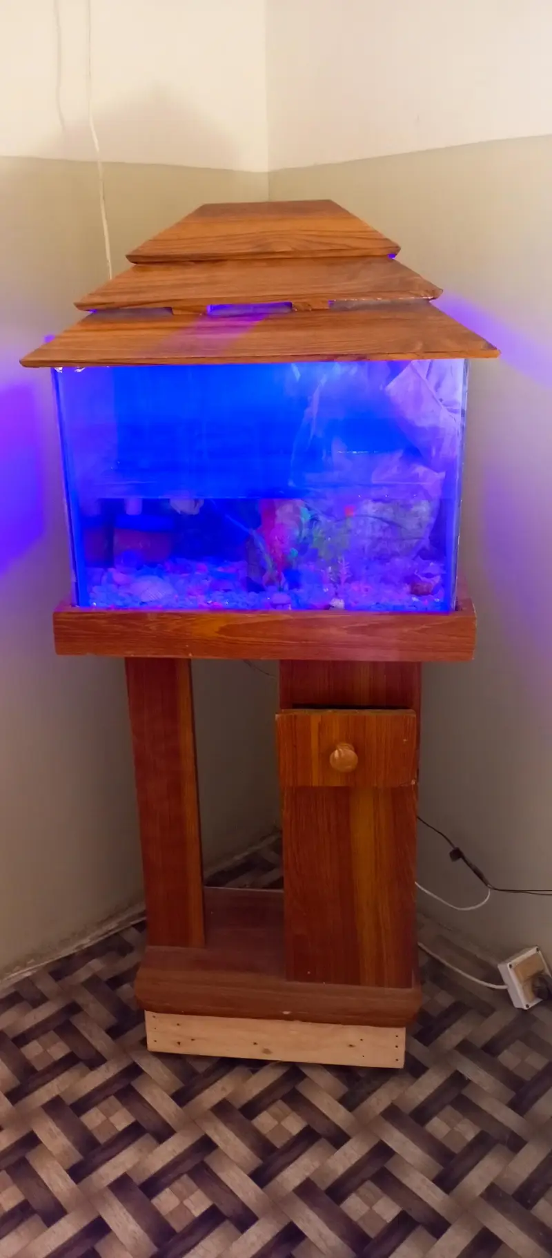aquarium — photo 9
