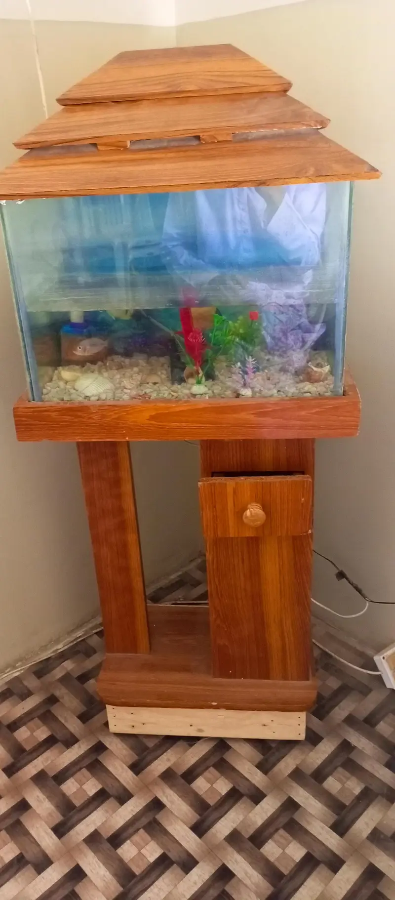 aquarium — photo 10
