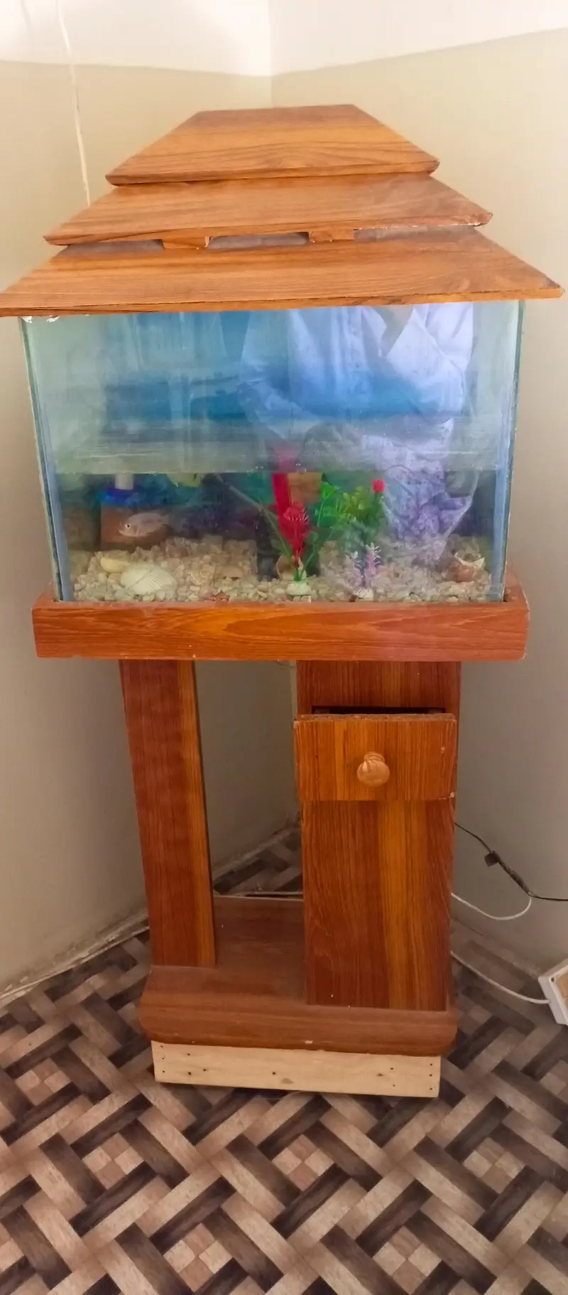 aquarium — photo 11