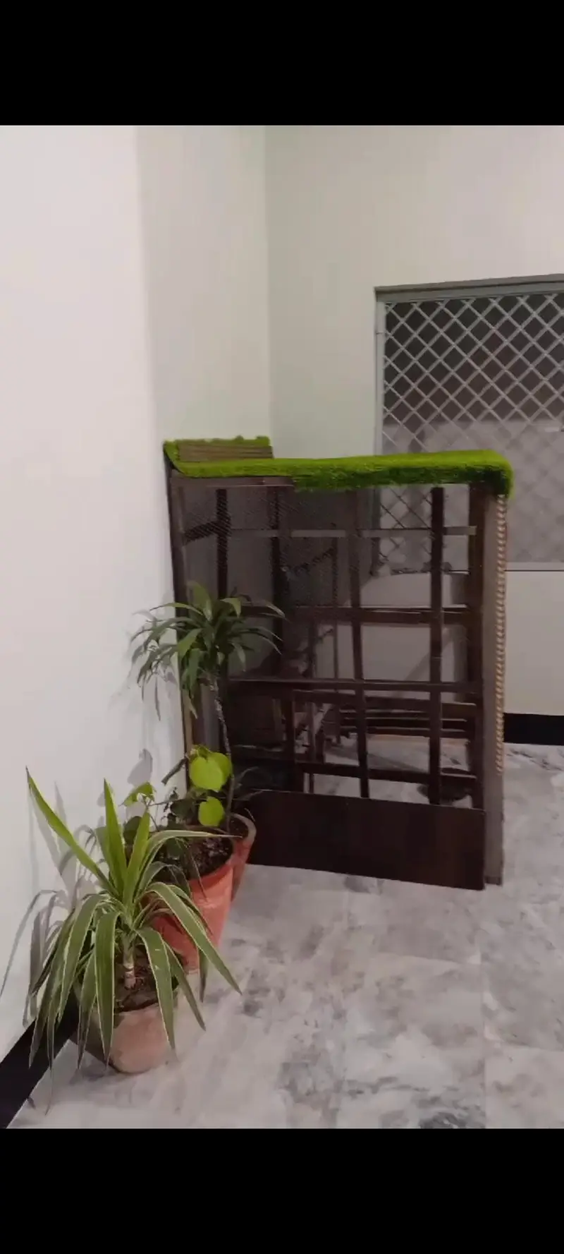 3 fram h khul bhi jata h jis ko lena ho rabta kra — photo 8