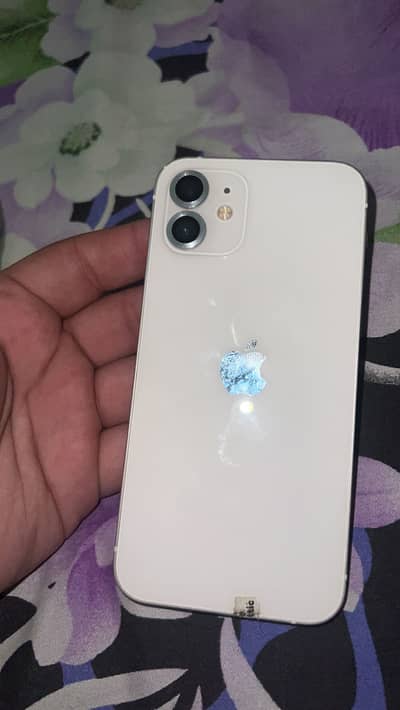iPhone 12 Pta Approved