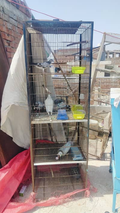 PIGEON CAGE