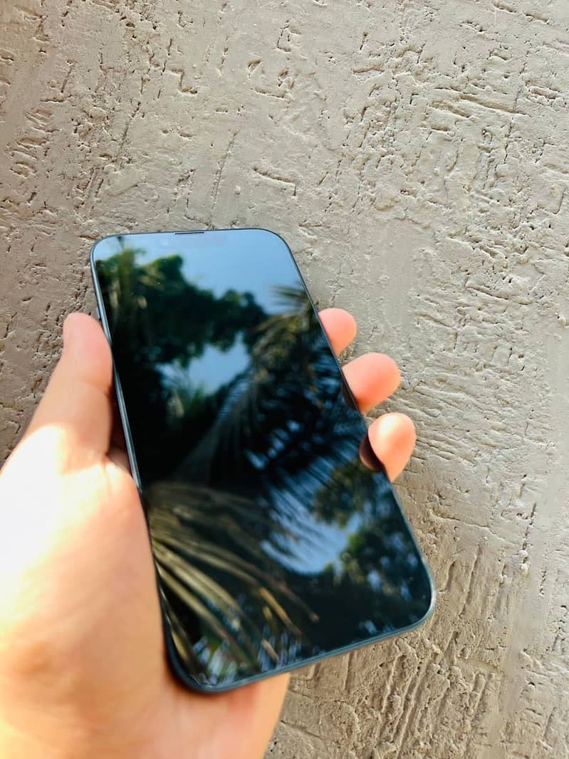 iPhone 13 0