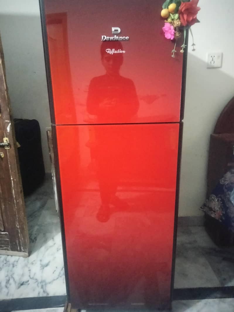 fridge 3