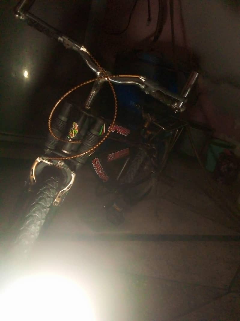 Cycle 7
