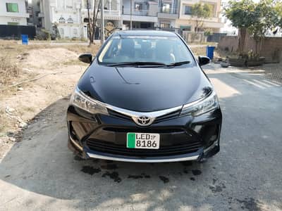 Corolla altis