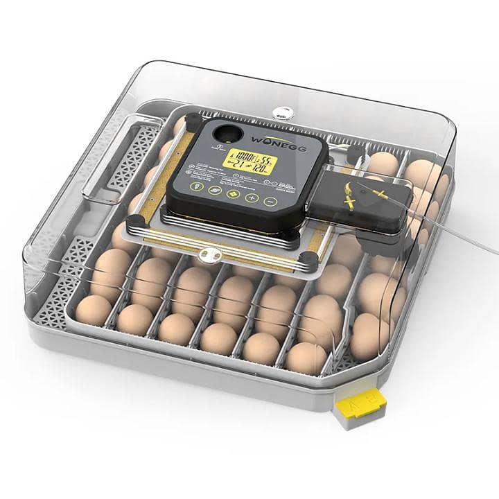 Automatic Egg Incubator | Egg Hatching Machine | Incubator | Brooder 2