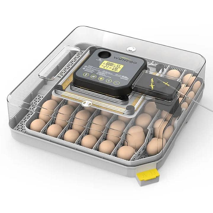 Automatic Egg Incubator | Egg Hatching Machine | Incubator | Brooder 4