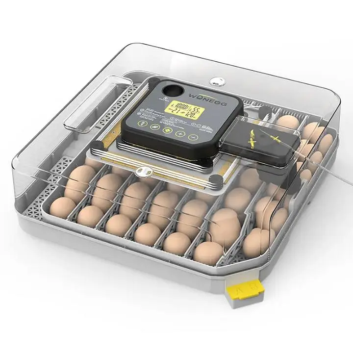 PREMIUM QUALITY 48/130 EGGS FULLY AUTOMATIC PARROTS INCUBATOR AC+DC — photo 4
