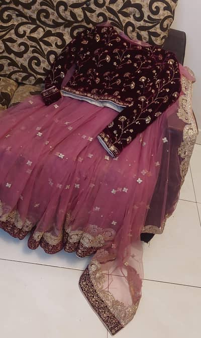 Beautiful embroidery net sarree with velvet blouse.