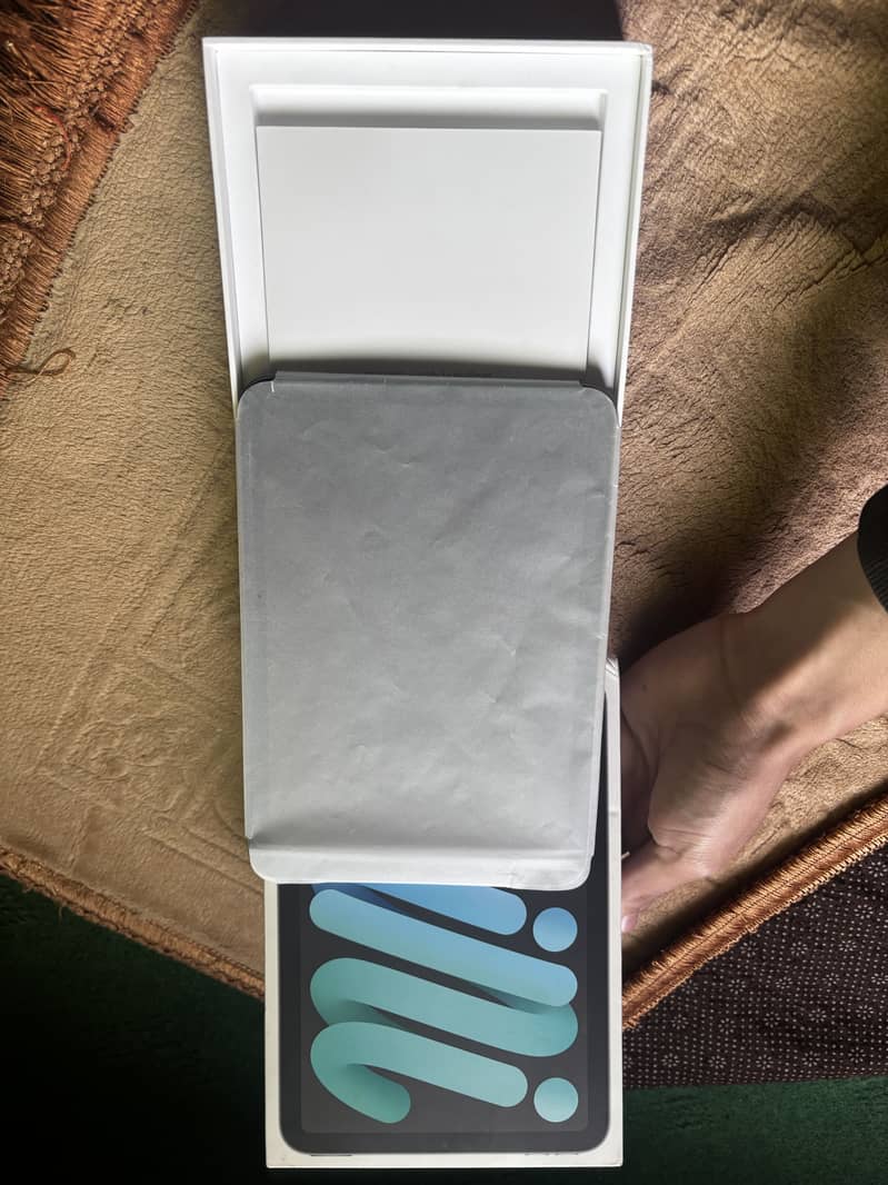 iPad Mini 6 256GB 2