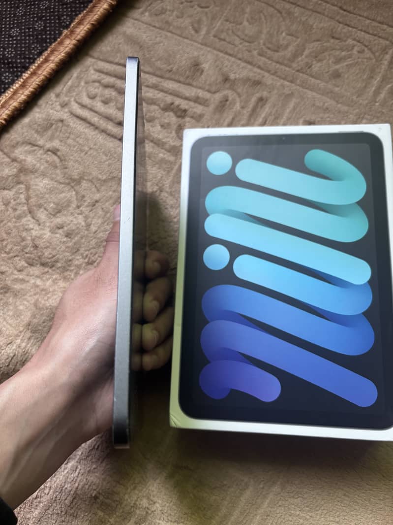 iPad Mini 6 256GB 4