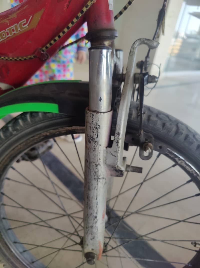Exotic Cycle 5
