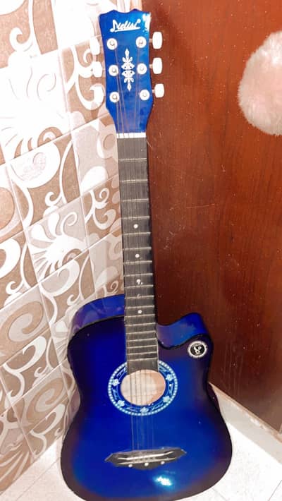 Dielisi original guitar best for beginners