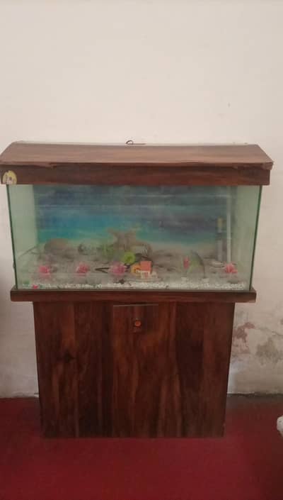 Aquarium