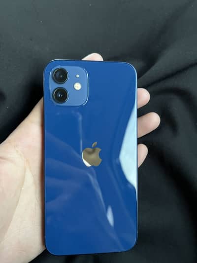 iPhone 12