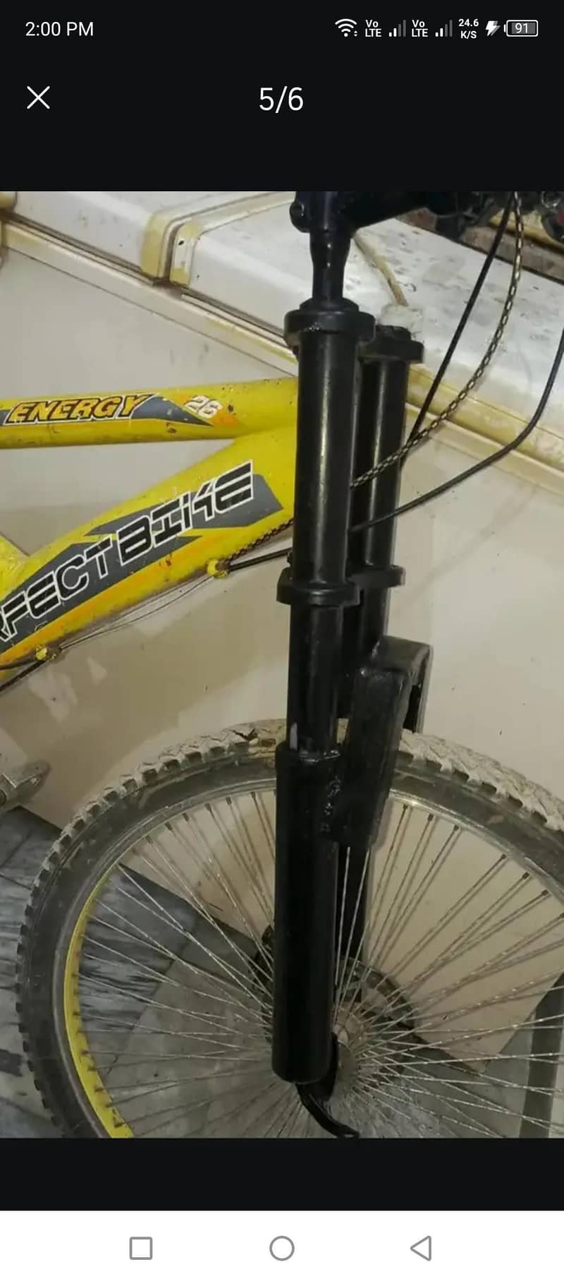Cycle 4