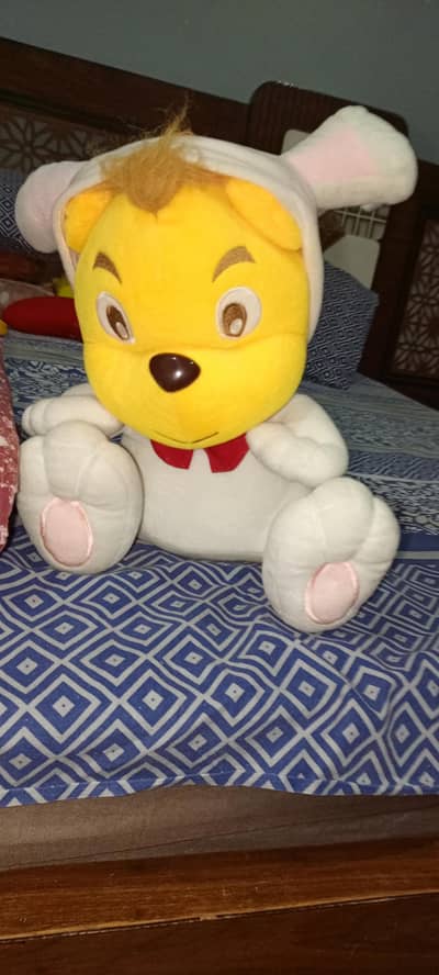 teddy lion