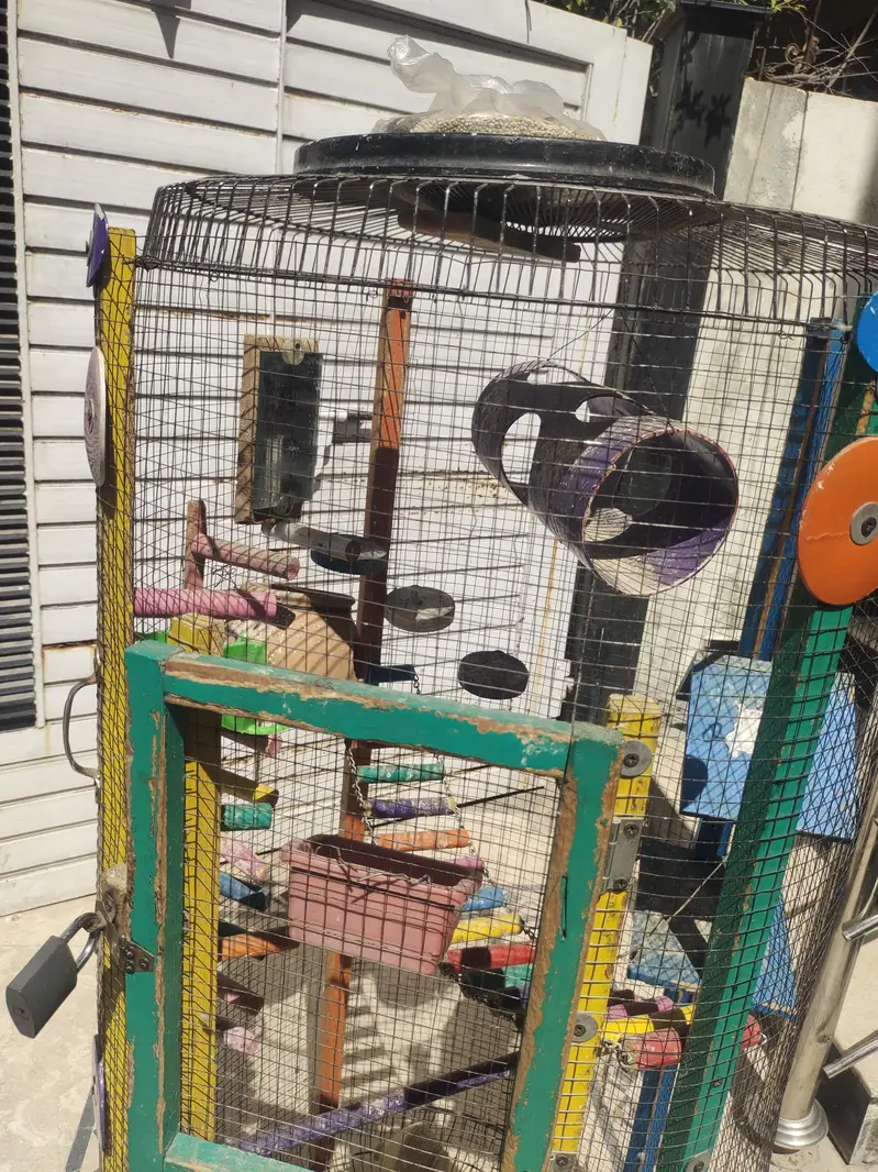 birds cage for sale in good condition — photo 4