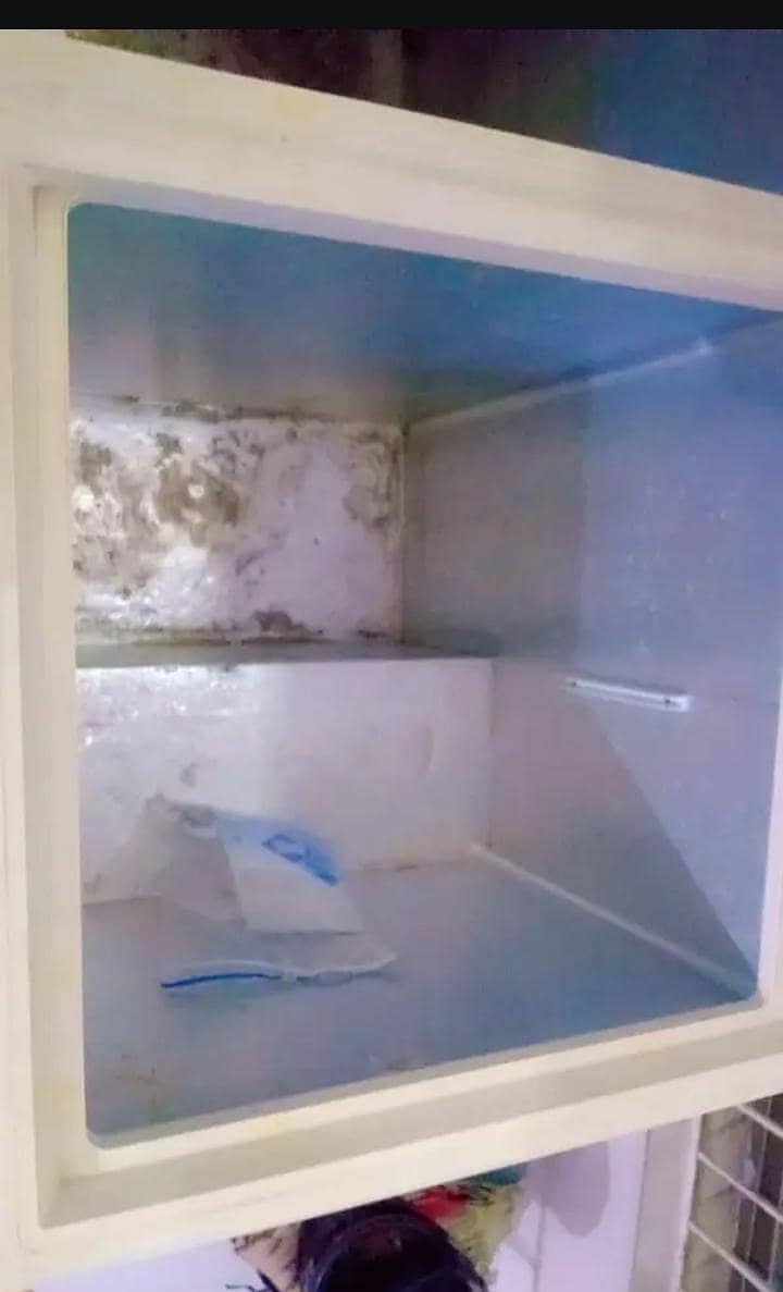 freezer 2