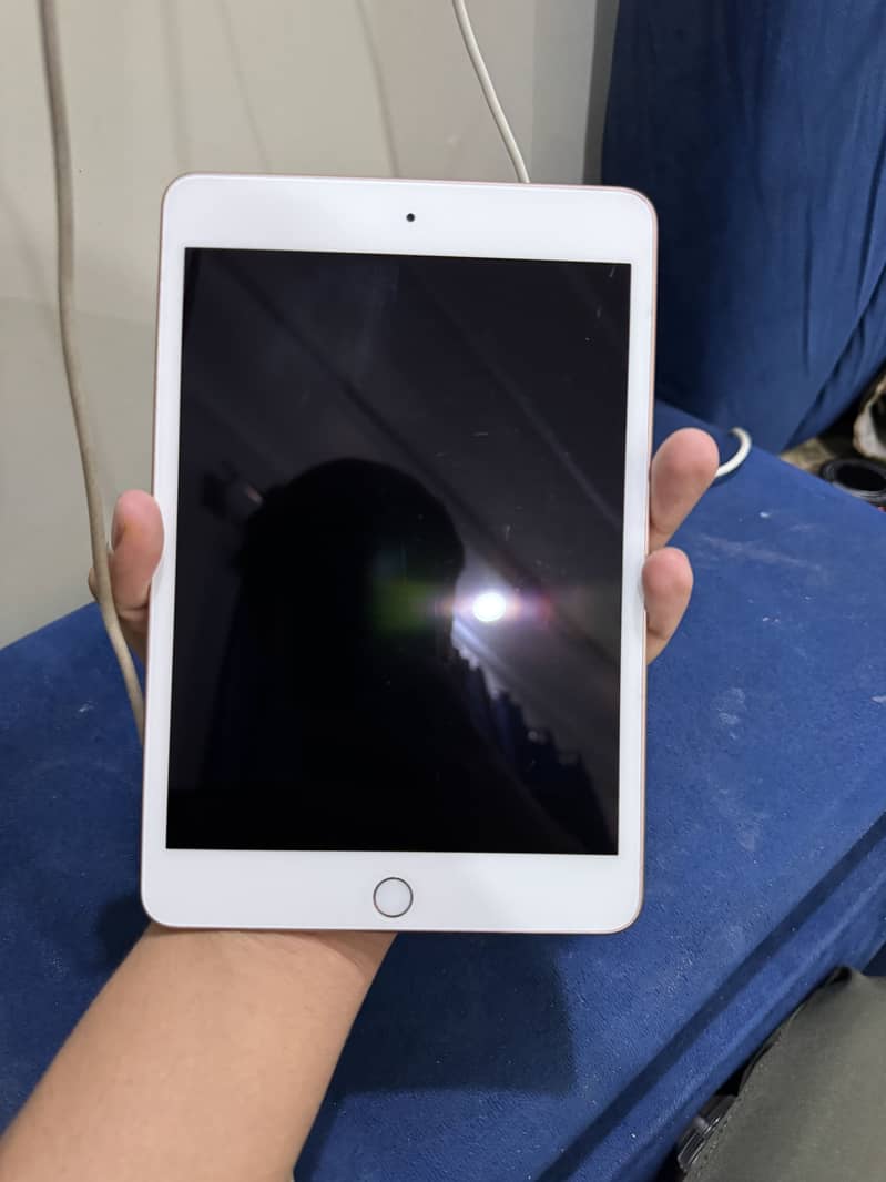 ipad mini 5 1