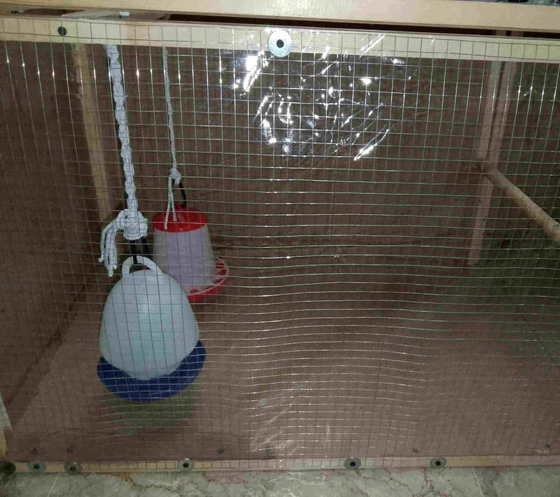 Brooder for chicks. Complete chick brooder. 11